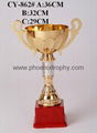 Trophy cup 3