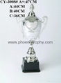 Trophy cup 5