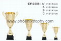 Trophy cup 3