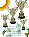 trophy cup 2