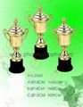 trophy cup 4