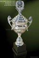 Trophy cup 4