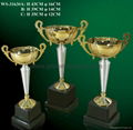 Trophy cup 5