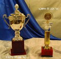 Trophy cup 1