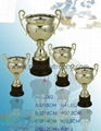 trophy cup 1