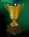 Trophy cup 1