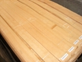 Rotary cut Veneer 5