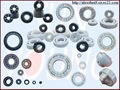 Ceramic Bearings