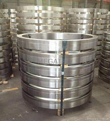 Supply power flange and forged products 