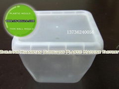 R-1 thin wall food container mould