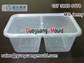 F-1 thin wall square box mould