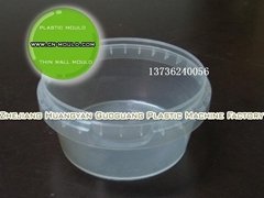 T-5  thin wall tub mould(injection plastic mould)