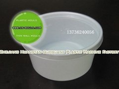 Y-2  thin wall bowl mould(injection plastic mould)
