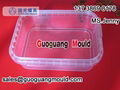 F-1 thin wall square box mould 2