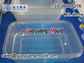 F-1 thin wall square box mould 3