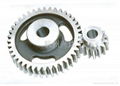 spur gear