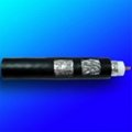 coaxial cable (RG11) 3
