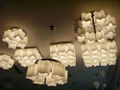 pendant lamp,ceiling lamp,modern lamp,hotel lighting,home lighting,indoor lamp 2