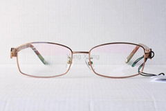 Titanium Optical Frame