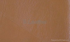 Synthetic Leather