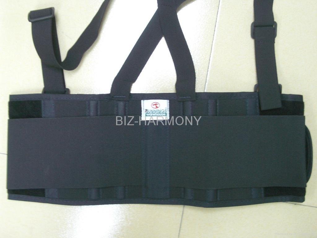 Back Support Belt 3