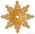 ceiling accessory