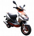 INHW50QT-9A  gas scooter 1