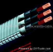 ESP cable 