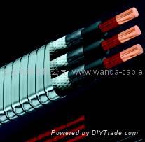 ESP cable