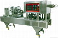 QCF SERIES PNEUMATIC JELLY FILLING &