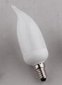 Flame energy saving lamp  1