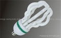 Flower energy saver bulb  1