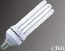 6UØ17  energy efficient bulbs