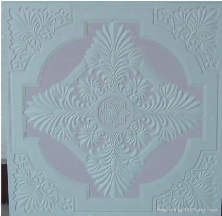 Gypsum Ceiling Tiles 2