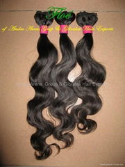 Brazilian  Virgin Hair