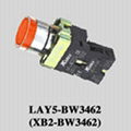 Push Button Switch (DB2-BW3462) 1