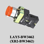 Push Button Switch (DB2-BW3462)