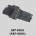 Pushbutton Switch (XB7-ED21)