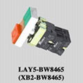 Pushbutton Switch (XB2-BW8465)