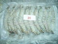 FROZEN BLACK TIGER SHRIMP (PRAWN)