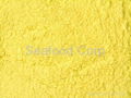 DIRED YELLOW CORN  STARCH