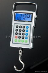 Digital Hanging Scale, Fishing Scale Hook Scale