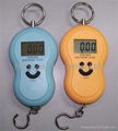 Digital Hanging Fishing L   age Hook Pocket Scale 1