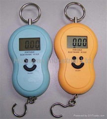 Digital Hanging Fishing L   age Hook Pocket Scale