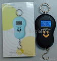 Digital Hanging Fishing L   age Hook Pocket Scale 2