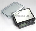 Switchable capacity digital pocket scale