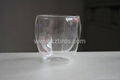 Glass Double Wall Cup