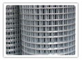 Welded wire mesh