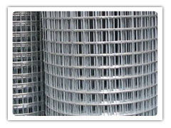 Welded wire mesh