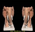 大象雕塑 5